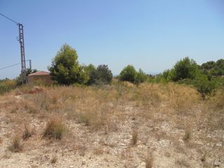 Rural plot Urbanización el almaguer. Venta de parcela rústica en urbanización almaguer- alfarp Rural plot Urbanización el almaguer. Venta de parcela rústica en urbanización almaguer- alfarp