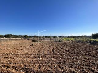 Residential Plot in Son Servera Poble Residential Plot in Son Servera Poble