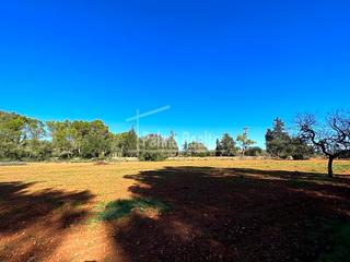 Residential Plot in Algaida Residential Plot in Algaida