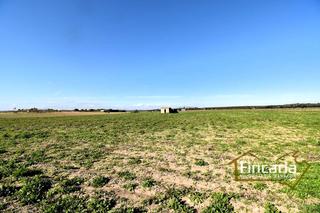Terreny residencial Camí de son nadal. Venta de finca rústica urbanizable en manacor Terreny residencial Camí de son nadal. Venta de finca rústica urbanizable en manacor