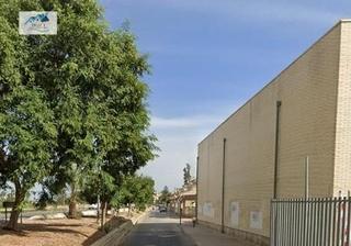 Pis Avenida tomas villanueva. Venta piso en bigastro alicante Pis Avenida tomas villanueva. Venta piso en bigastro alicante