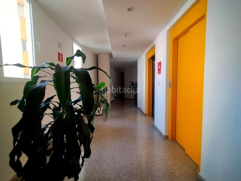 Foto 65784152-bf7d-4a8f-83f4-f772afbfc030. Appartamento con piscina in Playa Poniente Benidorm Foto 65784152-bf7d-4a8f-83f4-f772afbfc030. Appartamento con piscina in Playa Poniente Benidorm