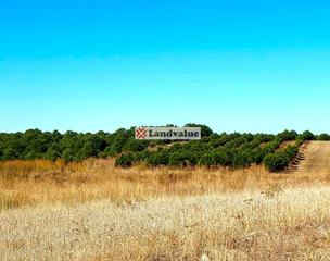 Terreno residencial en Rágama. Suelo rústico. superficie: 124734 m2s + 221.200 m2s = 345.954 m2 Terreno residencial en Rágama. Suelo rústico. superficie: 124734 m2s + 221.200 m2s = 345.954 m2