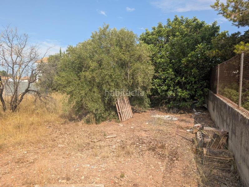 Foto 1ca45e0e-84cc-4086-b576-3740c8bd2f56. Terreno residenziale in La Conarda-Montesano Bétera Foto 1ca45e0e-84cc-4086-b576-3740c8bd2f56. Terreno residenziale in La Conarda-Montesano Bétera