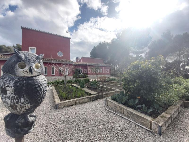 Foto a24155fc-0f03-4841-812c-91930ace6a61. Bauernhof mit parking pool in Son Servera poble Son Servera Foto a24155fc-0f03-4841-812c-91930ace6a61. Bauernhof mit parking pool in Son Servera poble Son Servera