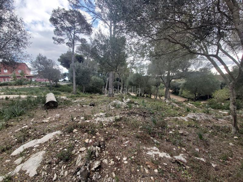 Foto 5eeaabd7-ea7b-4488-8d05-a6a78a021d81. Country house with parking pool in Son Servera poble Son Servera Foto 5eeaabd7-ea7b-4488-8d05-a6a78a021d81. Country house with parking pool in Son Servera poble Son Servera