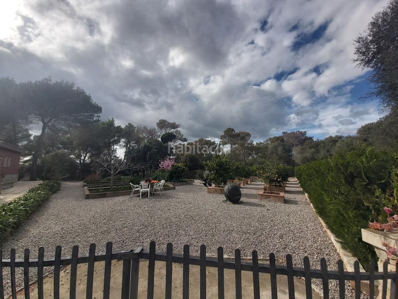 Foto 9dd48aa2-0363-4796-a556-b37d9ee1ef1f. Country house with parking pool in Son Servera poble Son Servera Foto 9dd48aa2-0363-4796-a556-b37d9ee1ef1f. Country house with parking pool in Son Servera poble Son Servera