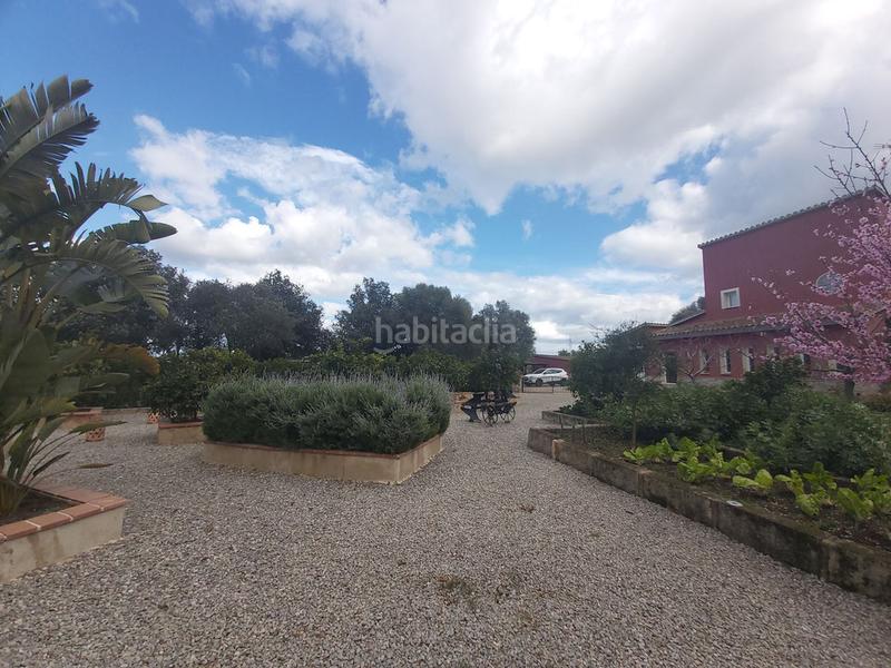 Foto 1134f939-1144-4799-8fd5-8fb8b9b6a84b. Masia amb aparcament piscina a Son Servera poble Son Servera Foto 1134f939-1144-4799-8fd5-8fb8b9b6a84b. Masia amb aparcament piscina a Son Servera poble Son Servera