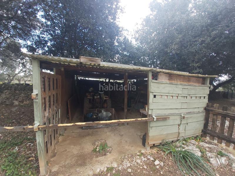 Foto 500e6485-7bab-42f3-a44c-27e03890af13. Masia amb aparcament piscina a Son Servera poble Son Servera Foto 500e6485-7bab-42f3-a44c-27e03890af13. Masia amb aparcament piscina a Son Servera poble Son Servera