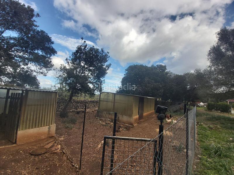 Foto 7f49a846-fd2b-4415-9de6-c74c68043579. Masia amb aparcament piscina a Son Servera poble Son Servera Foto 7f49a846-fd2b-4415-9de6-c74c68043579. Masia amb aparcament piscina a Son Servera poble Son Servera