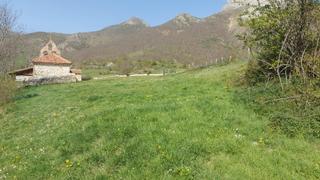 Finca rústica a Pesaguero. Venta de terreno rustico urbanizable Finca rústica a Pesaguero. Venta de terreno rustico urbanizable