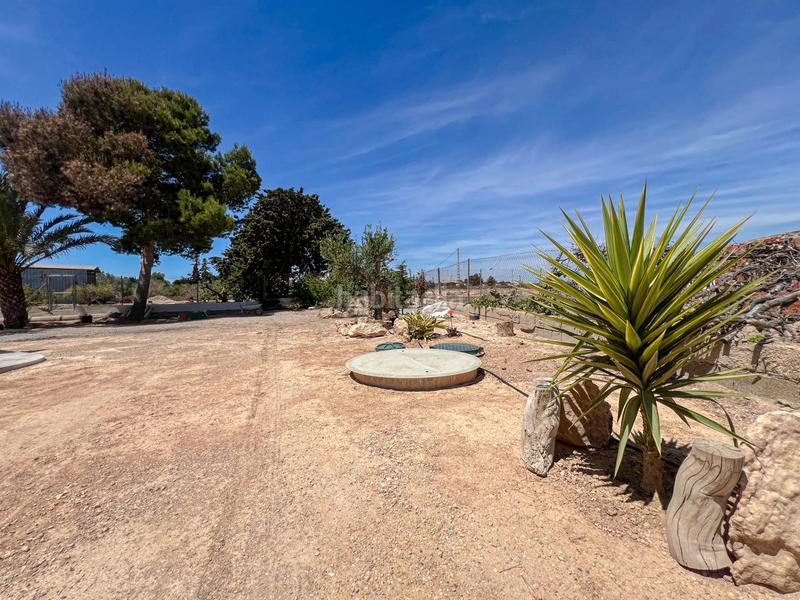 Foto 5ffb49df-1122-4577-8e8c-d7225a0c7d34. Xalet amb calefacció aparcament piscina a El Altet Elche / Elx Foto 5ffb49df-1122-4577-8e8c-d7225a0c7d34. Xalet amb calefacció aparcament piscina a El Altet Elche / Elx