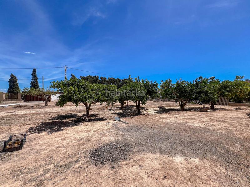 Foto 90cc2e43-ddbc-4627-80d7-c8ff6428bd0c. Xalet amb calefacció aparcament piscina a El Altet Elche / Elx Foto 90cc2e43-ddbc-4627-80d7-c8ff6428bd0c. Xalet amb calefacció aparcament piscina a El Altet Elche / Elx