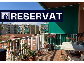 Pis  Pablo picasso. Amplio, luminoso y con potencial Pis  Pablo picasso. Amplio, luminoso y con potencial