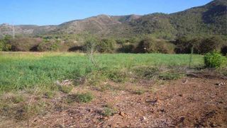 Terreno residencial en Pda. mig l´ horta y jara. Solvia inmobiliaria - suelo rústico simat de la valldigna Terreno residencial en Pda. mig l´ horta y jara. Solvia inmobiliaria - suelo rústico simat de la valldigna