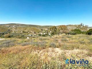 Terreny residencial a Cuevas Bajas. Ref.190525931 se venden cinco solares urbanos independientes en Terreny residencial a Cuevas Bajas. Ref.190525931 se venden cinco solares urbanos independientes en