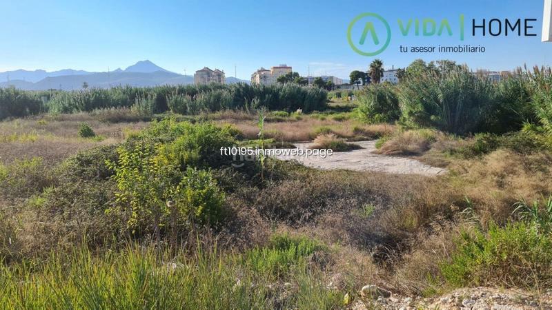 Foto fc8ad43e-b236-4822-9d68-d8380aa5d474. Terreno residencial en Grau de Gandía-Marenys de Rafalcaid Gandia Foto fc8ad43e-b236-4822-9d68-d8380aa5d474. Terreno residencial en Grau de Gandía-Marenys de Rafalcaid Gandia