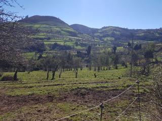 Finca rústica  N/a. Terreno no urbanizable en la parroquia de lavandera Finca rústica  N/a. Terreno no urbanizable en la parroquia de lavandera