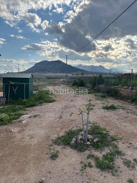 Foto 5e4a6743-c3e0-4378-8fcd-939e24ac8333. Masia a Pedanías Oeste Aspe Foto 5e4a6743-c3e0-4378-8fcd-939e24ac8333. Masia a Pedanías Oeste Aspe