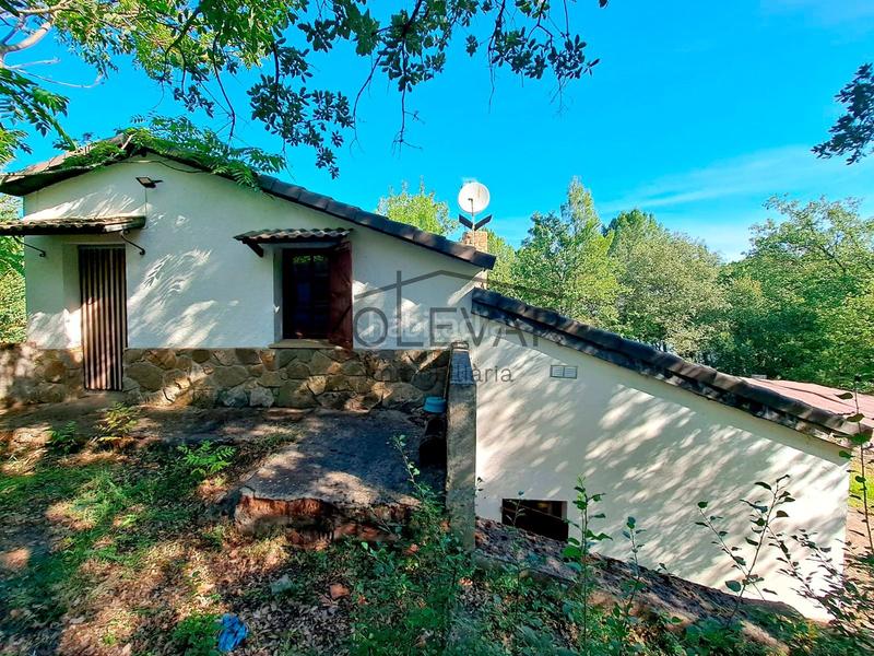 Foto 7dc36820-aba0-49e6-bcee-7bd187637a7d. Maison dans Llimiana Foto 7dc36820-aba0-49e6-bcee-7bd187637a7d. Maison dans Llimiana