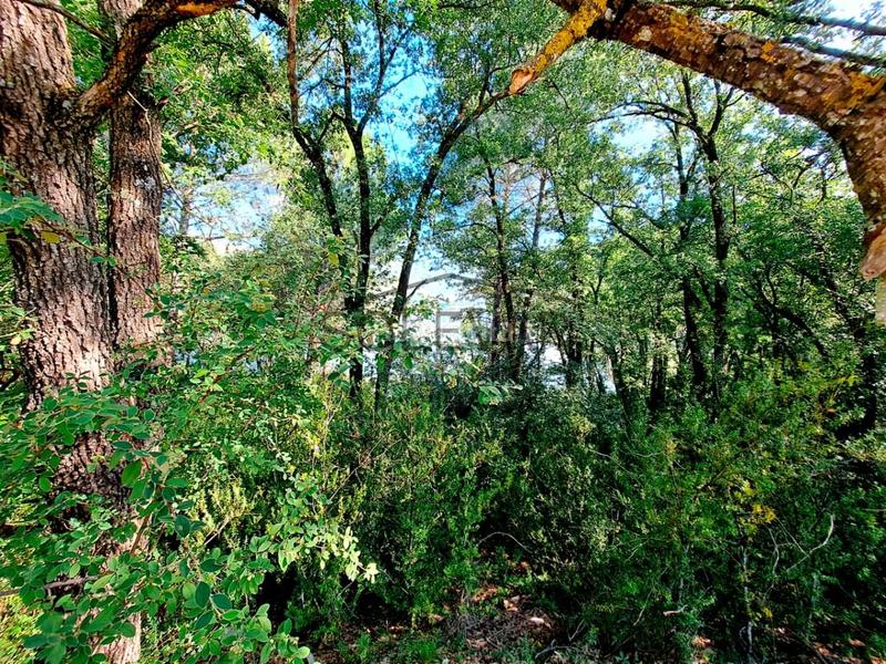 Foto ad7ee443-1797-4b7c-aec7-52dd41e26224. Maison dans Llimiana Foto ad7ee443-1797-4b7c-aec7-52dd41e26224. Maison dans Llimiana