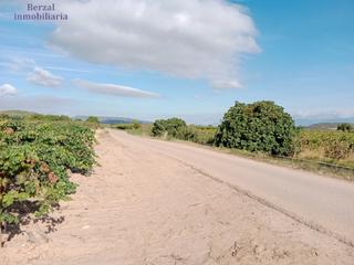 Finca rústica Carretera entrena. Finca rústica, en entrena. superficie de 2.577 m. plantada de vi Finca rústica Carretera entrena. Finca rústica, en entrena. superficie de 2.577 m. plantada de vi