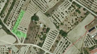 Terreny residencial a Echarri - calle sqan esteban s/n. Terreno huerta en echarri Terreny residencial a Echarri - calle sqan esteban s/n. Terreno huerta en echarri