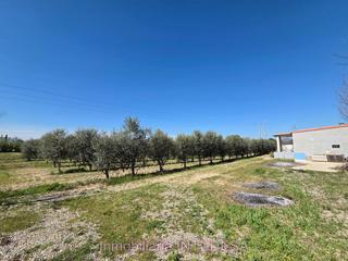 Finca rústica Zona viejón. Se vende parcela con caseta cerca de la vía verde del tarazonica Finca rústica Zona viejón. Se vende parcela con caseta cerca de la vía verde del tarazonica