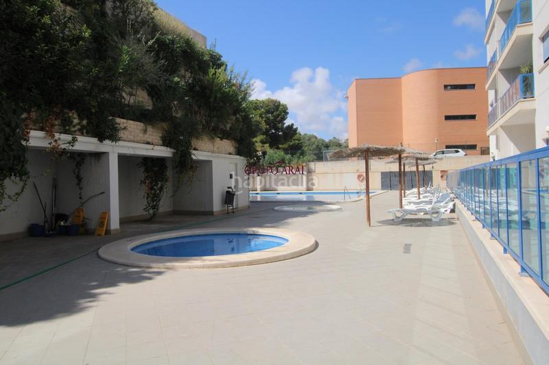 Foto 1dc4cf7a-6066-4463-a206-1d65cd12e3cf. Appartement dans glorieta del reino unido 8 dans Palmeral Alicante Foto 1dc4cf7a-6066-4463-a206-1d65cd12e3cf. Appartement dans glorieta del reino unido 8 dans Palmeral Alicante