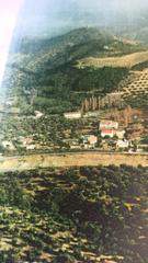 Rural plot  Valdepeñas. Finca rústica con encanto y olivar productivo a 10 minutos del c Rural plot  Valdepeñas. Finca rústica con encanto y olivar productivo a 10 minutos del c