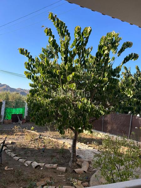 Foto 74cadb66-11f6-418c-8dff-389cc10aadaa. Chalet avec parking dans Pinos de Alhaurín Alhaurín de la Torre Foto 74cadb66-11f6-418c-8dff-389cc10aadaa. Chalet avec parking dans Pinos de Alhaurín Alhaurín de la Torre