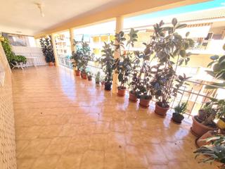 Apartament a Guardamar Playa. Piso de 4 dormitorios en zona playa Apartament a Guardamar Playa. Piso de 4 dormitorios en zona playa