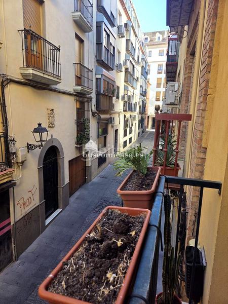 Foto 46210d4c-1887-4180-9151-9f74a2c00c1e. Pis a San Ildefonso - Catedral Jaén Foto 46210d4c-1887-4180-9151-9f74a2c00c1e. Pis a San Ildefonso - Catedral Jaén