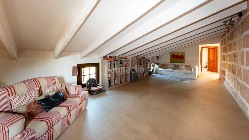 Foto d5e43101-b4a7-4e49-a787-14131ee261e0. Location mas avec piscine dans Zona Periurbana Inca Foto d5e43101-b4a7-4e49-a787-14131ee261e0. Location mas avec piscine dans Zona Periurbana Inca