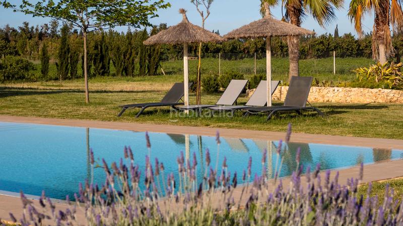 Foto 44508908-c52e-4d50-892c-86cb455e484b. Miete bauernhof mit pool in Zona Periurbana Inca Foto 44508908-c52e-4d50-892c-86cb455e484b. Miete bauernhof mit pool in Zona Periurbana Inca