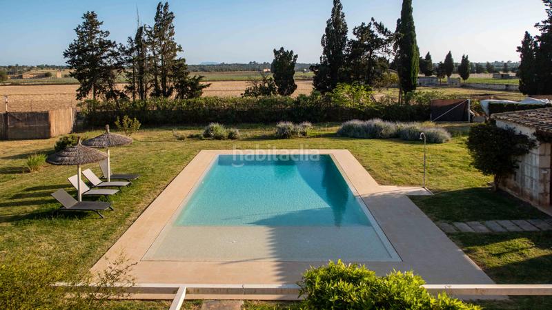 Foto d48ea480-3352-4964-87a6-69341bf87bf6. Rent country house with pool in Zona Periurbana Inca Foto d48ea480-3352-4964-87a6-69341bf87bf6. Rent country house with pool in Zona Periurbana Inca