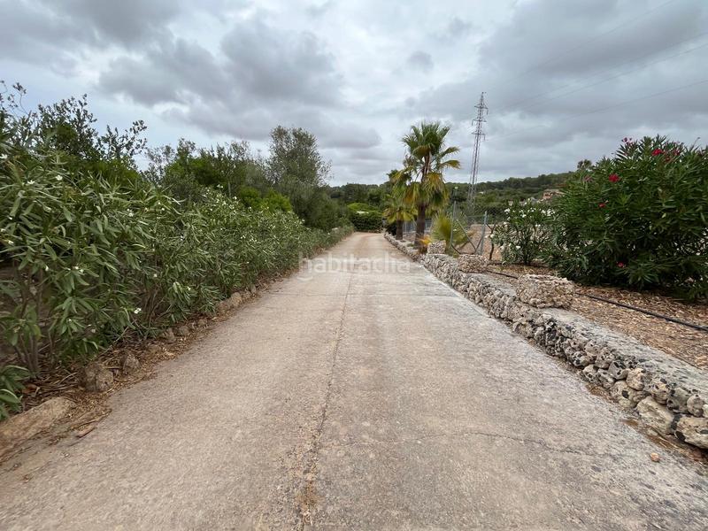 Foto f7affb8f-7e15-4ca9-a1f0-aae9050bde24. Affitto casale in Pòrtol Marratxí Foto f7affb8f-7e15-4ca9-a1f0-aae9050bde24. Affitto casale in Pòrtol Marratxí