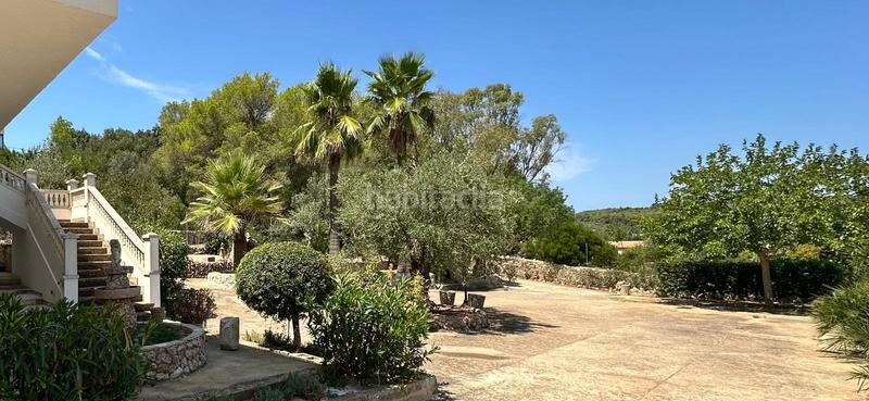 Foto be713878-6a0c-40f9-96ff-91a6be800fff. Lloguer masia a Pòrtol Marratxí Foto be713878-6a0c-40f9-96ff-91a6be800fff. Lloguer masia a Pòrtol Marratxí