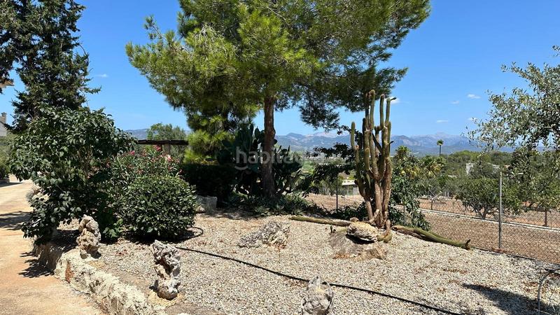 Foto c08c069c-869f-451a-96f2-534959226707. Lloguer masia a Pòrtol Marratxí Foto c08c069c-869f-451a-96f2-534959226707. Lloguer masia a Pòrtol Marratxí