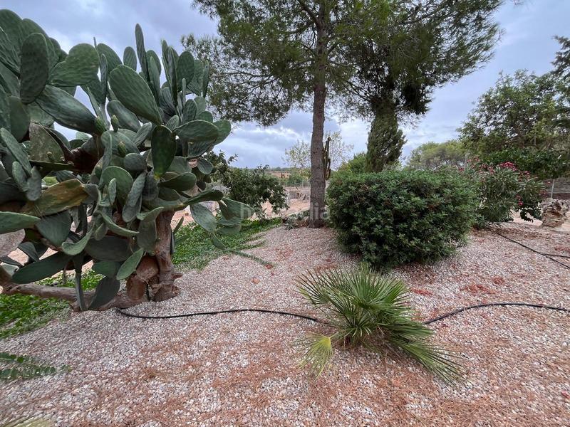 Foto f046218b-c47c-45c9-86e8-13757bbc5c4f. Lloguer masia a Pòrtol Marratxí Foto f046218b-c47c-45c9-86e8-13757bbc5c4f. Lloguer masia a Pòrtol Marratxí