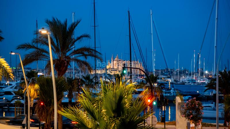 Foto 82860d24-3a93-4870-ab4f-56957e8b30dd. Apartament amb piscina a El Terreno Palma de Mallorca Foto 82860d24-3a93-4870-ab4f-56957e8b30dd. Apartament amb piscina a El Terreno Palma de Mallorca