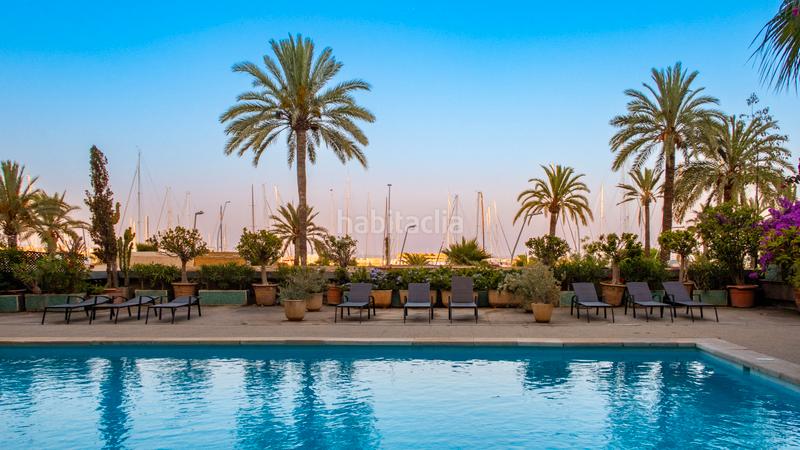 Foto 9ab69f58-2cbc-4764-ac74-e2064c2d4f8d. Apartament amb piscina a El Terreno Palma de Mallorca Foto 9ab69f58-2cbc-4764-ac74-e2064c2d4f8d. Apartament amb piscina a El Terreno Palma de Mallorca