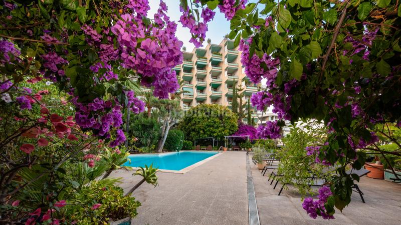 Foto 9e4b9896-43ee-4e73-a390-9801bd2afa6d. Apartament amb piscina a El Terreno Palma de Mallorca Foto 9e4b9896-43ee-4e73-a390-9801bd2afa6d. Apartament amb piscina a El Terreno Palma de Mallorca