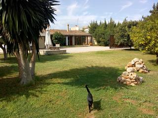 Maison jumelée à Establiments. Bungalow con jardín privado y piscina en establiments en venta Maison jumelée à Establiments. Bungalow con jardín privado y piscina en establiments en venta
