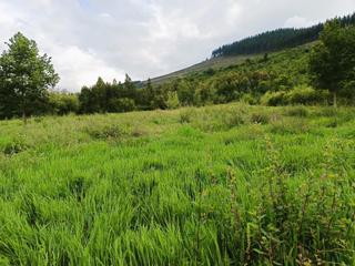 Propriété à Okondo. Venta terreno rustico en okondo Propriété à Okondo. Venta terreno rustico en okondo
