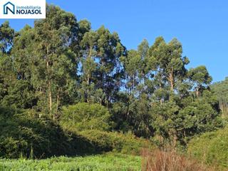 Fondo rustico  Soano riegos. Ref.004036 terreno rústico agrario en soano de 2.775 m2 Fondo rustico  Soano riegos. Ref.004036 terreno rústico agrario en soano de 2.775 m2