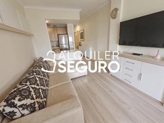 Lloguer Pis Don manuel martinez guirao. Piso c don manuel martinez guirao torrevieja Lloguer Pis Don manuel martinez guirao. Piso c don manuel martinez guirao torrevieja