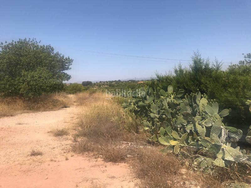 Foto 4f9a2c5b-6496-4ca4-a535-c3e720618f4b. Terreny residencial a Pla dels Aljubs Pobla de Vallbona (la) Foto 4f9a2c5b-6496-4ca4-a535-c3e720618f4b. Terreny residencial a Pla dels Aljubs Pobla de Vallbona (la)