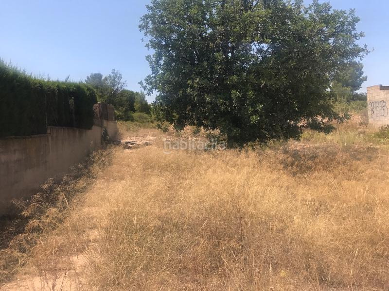 Foto d956815b-8f5b-4ef0-bb2e-67b9e036bbdd. Terreny residencial a Pla dels Aljubs Pobla de Vallbona (la) Foto d956815b-8f5b-4ef0-bb2e-67b9e036bbdd. Terreny residencial a Pla dels Aljubs Pobla de Vallbona (la)