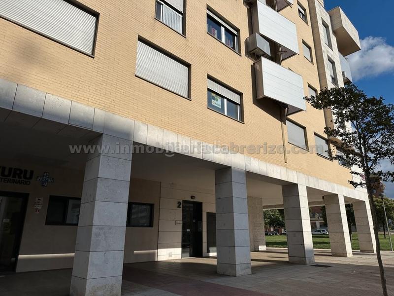 Foto 4b39c265-22bd-49a0-9775-fc052bbf5ba5. Office space in calle río lomo 2 in Los Lirios Logroño Foto 4b39c265-22bd-49a0-9775-fc052bbf5ba5. Office space in calle río lomo 2 in Los Lirios Logroño